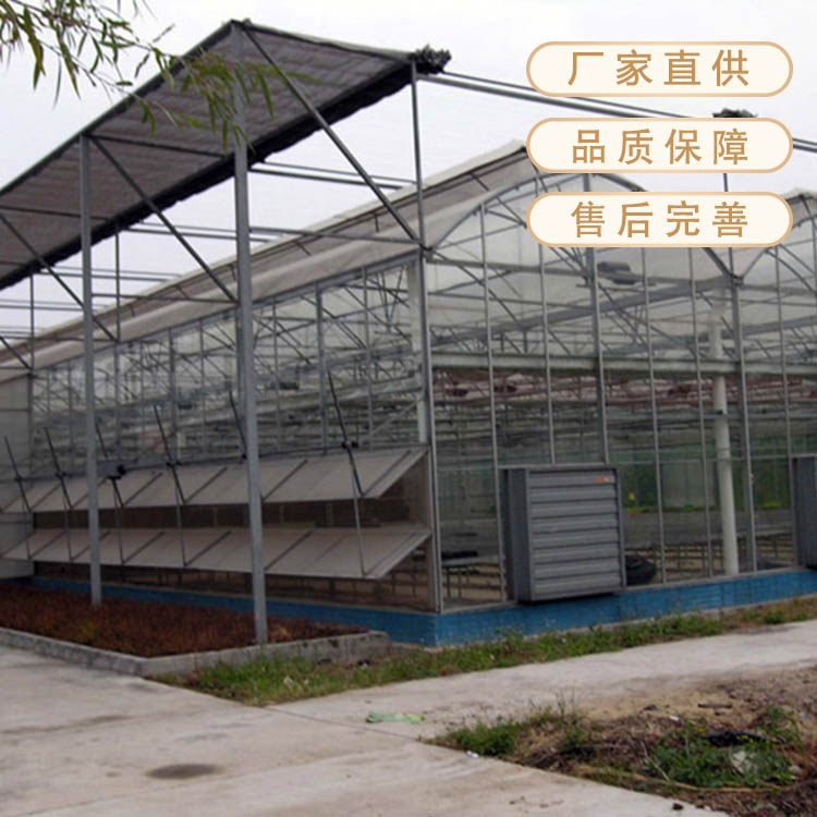 蔬菜温室工程承建欢迎咨询_亿晟温室优点多