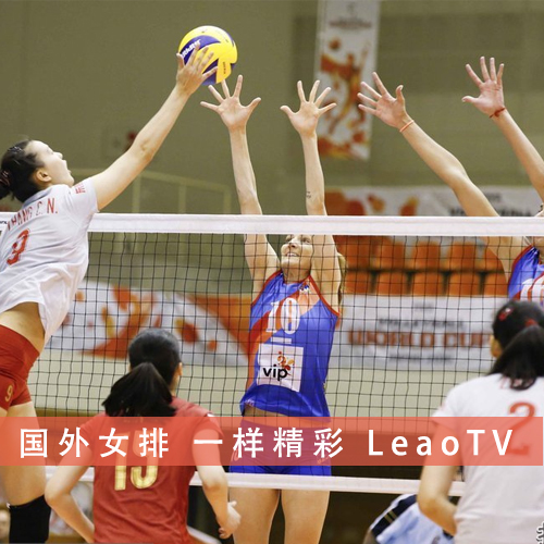 国外女排比赛，国外女排赛事
