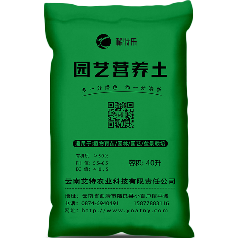 昆明西红柿种苗有哪些_艾特农业
