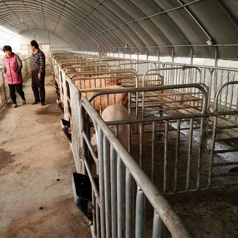 平頂山抗老化養豬大棚批發