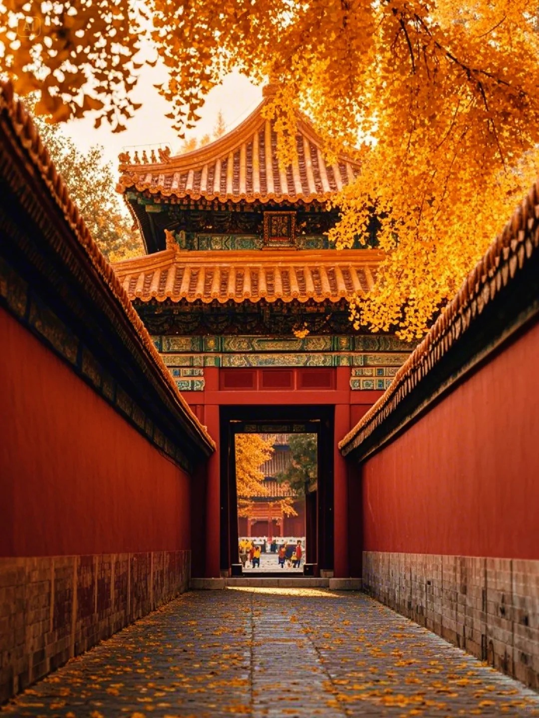 北京带长辈游玩攻略，这几个景点适合慢慢逛
