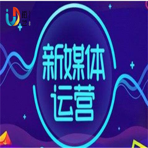 沧州市铂艺网络技术服务有限公司 产品中心 
