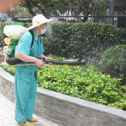 四害消杀服务