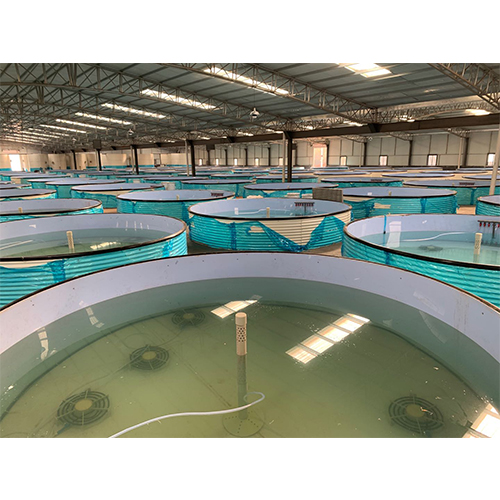 高密度水产养殖新技术-保证了全年商品鱼的高产,稳产