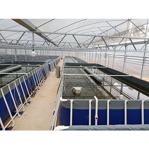 梅州工厂化高密度循环水养殖系统厂家报价(2024更新成功)(今日/咨询)