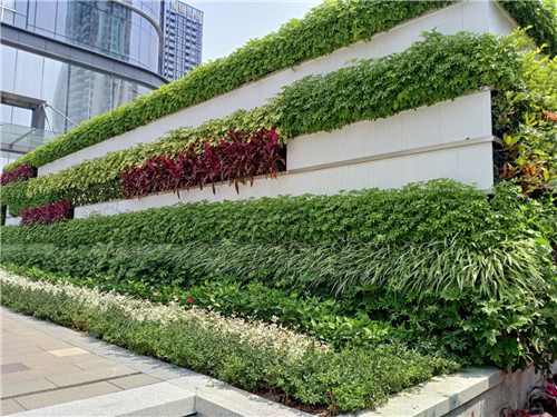 深圳垂直绿化墙施工,景澜环保专业设计,服务有保障