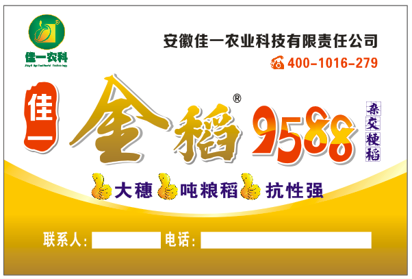 佳一福稻1588-优质高产杂交水稻种-佳一金稻9588