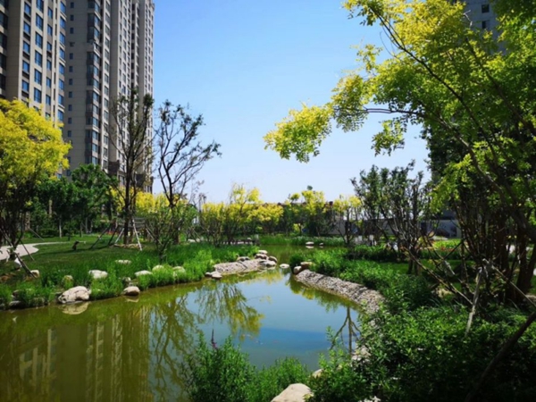 天津宝坻远大城以后会涨吗,区域优势显著