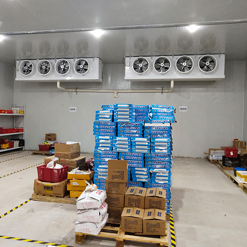 信丰蔬菜批发冷库