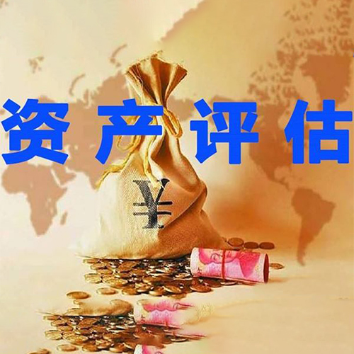 资产 资产