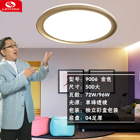 四川雷逸灯饰找哪家中山市雷逸电子科技有限公司