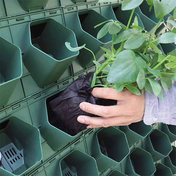 八方mm-110蜂巢种植盒