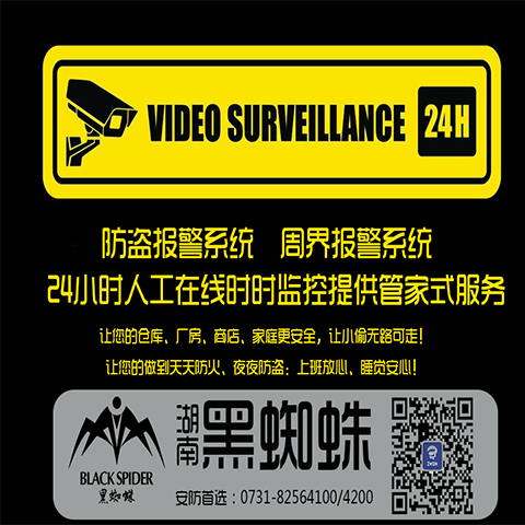 湘乡市防盗报警系统哪家好 湖南黑蜘蛛信息工程有限企业