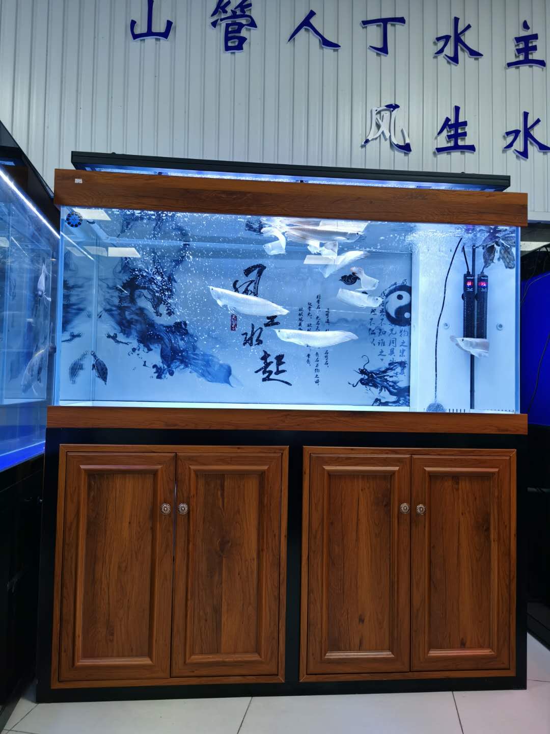 探索生态鱼缸的绿色之旅