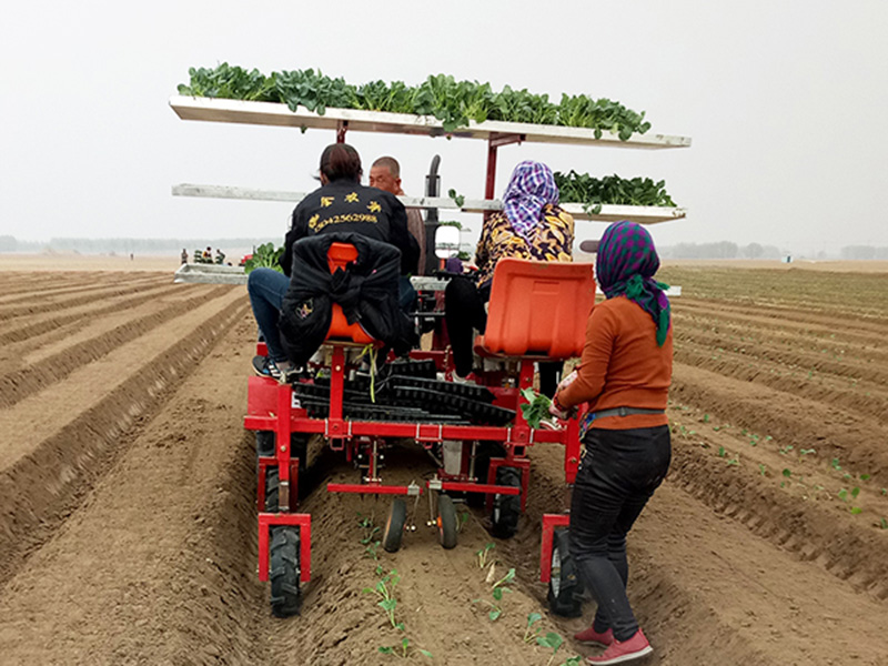 广东新型自走式移栽机出售