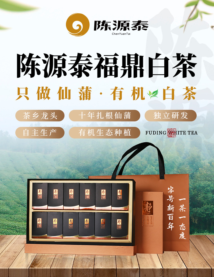 邢台茶叶品牌公司价格(2022已更新)(今日/浅析)-陈源泰福鼎白茶