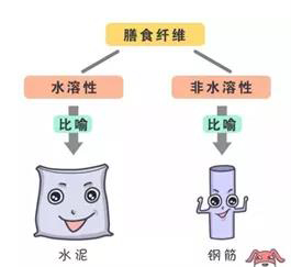 【特康特食】不能直接利用，但人体必需的“第七大营养素”