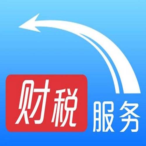 财税服务
