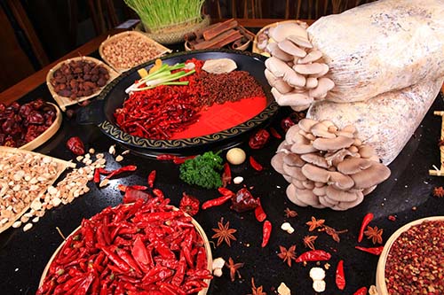 火锅加盟品牌排行_楠火锅携手黄小蕾开业剪彩品牌发布会闪耀成都(2)