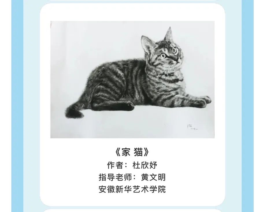 6杜欣妤