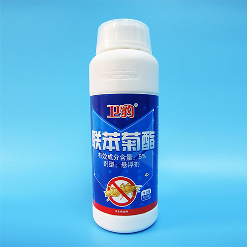 阳江白蚁防治找哪家