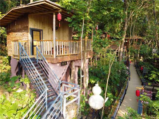 周末去英德树上人家的特色树屋村,寻一个到得了的诗意远方