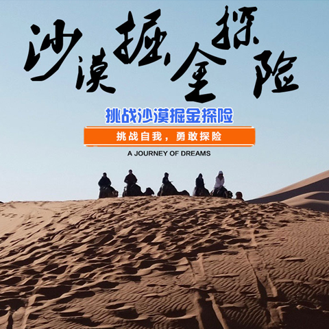 银川中卫腾格里沙漠专业的沙漠徒步拓展,沙漠户外团建