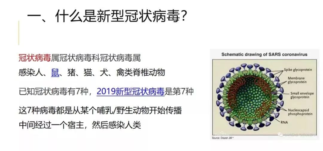 新黔3