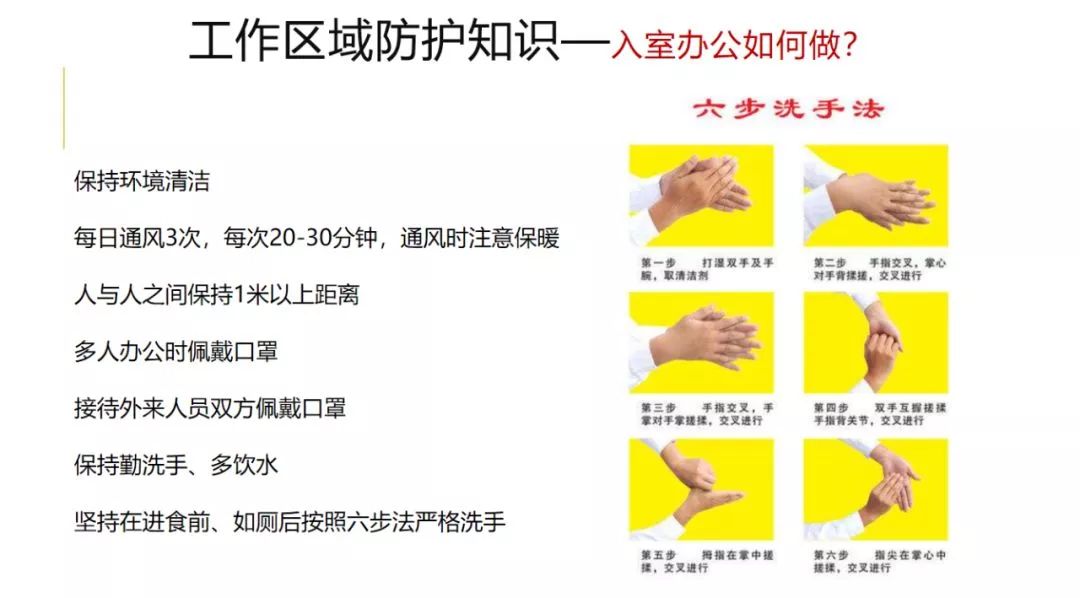 新黔12