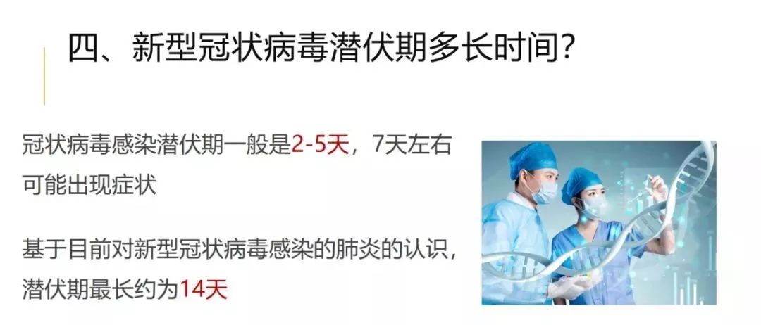 新黔6