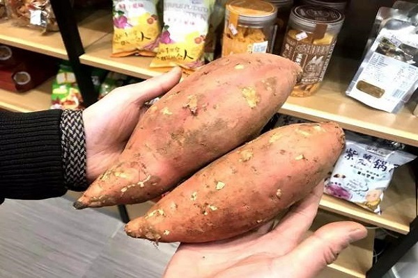 一只小红薯 一只小红薯