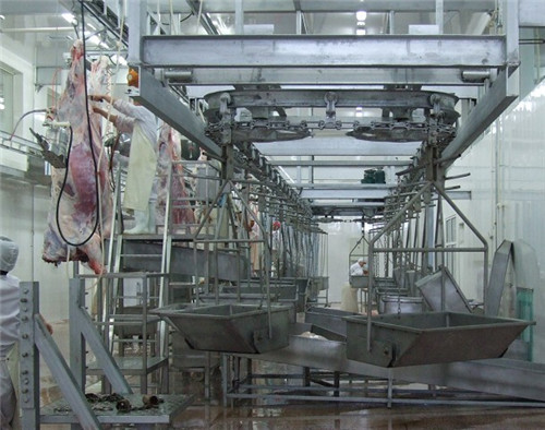 提供屠宰场杀猪机器出售