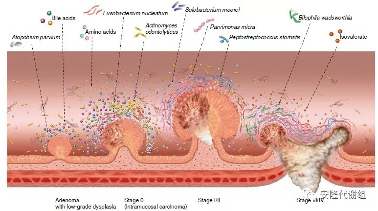 厦门久米科技有限公司,带你掘金抖音广告红利