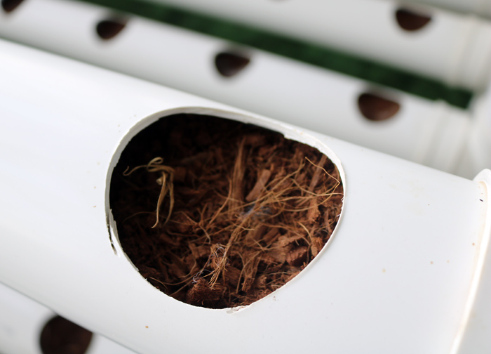 聊城椰糠条无土栽培基质多少钱_垦源椰糠产地货源