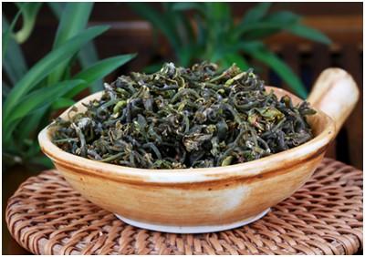 芷江甜茶|如何提高芷江甜茶苗移栽的成活率