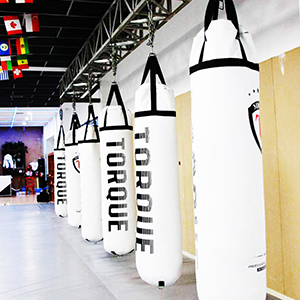 高新区大型mma综合格斗俱乐部