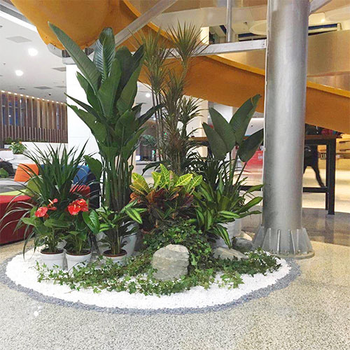 北京绿植租摆