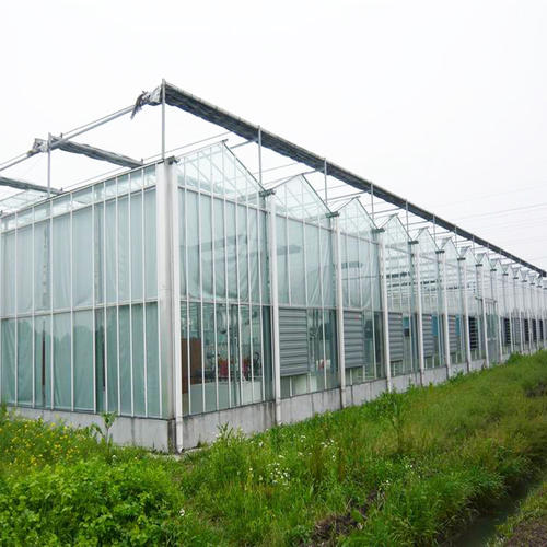 羊舍大棚建设,智能连栋温室,连栋薄膜温室 - 潍坊启迪温室工程有限