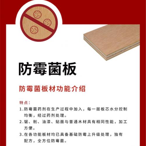 新闻：海珠千年舟防虫板厂家联系方式(2022更新中)(今日/新品)