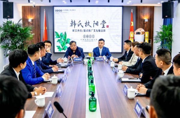 艾藏灸8