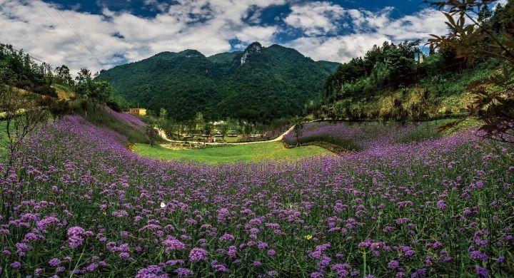 北镇百花谷自然风景区图片